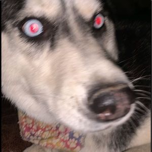 Meet your Posher, Caleb